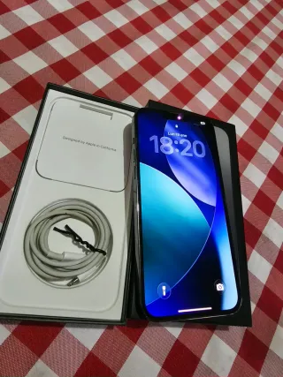 iPhone 13 Pro Max Gris/Plata