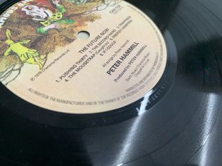Título sugerido: Peter Hammill - The Future Now (