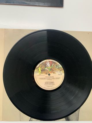 Título sugerido: Peter Hammill - The Future Now (