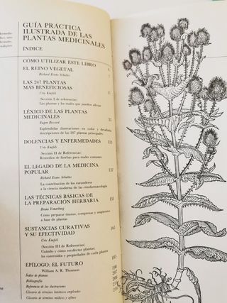 Plantas medicinales. Pio Font Quer+/William A. R.