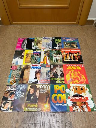 Lote Vinilos y Casetes
