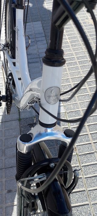 Bicicleta de paseo