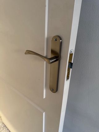 Puerta madera maciza con manilla y bisagras