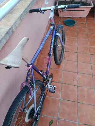 Orbea Mustang 26 Bicicleta Montaña