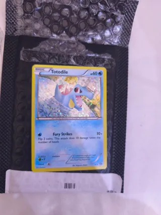 Carta Pokémon Totodile 5/12