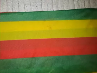 Pantalón disfraz rayas Rasta Talla 8/10