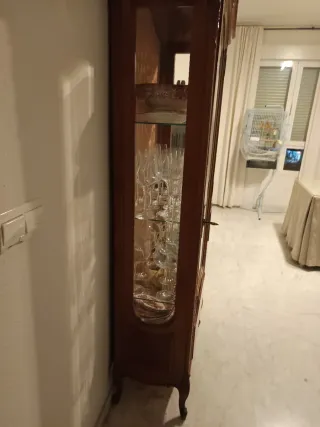 Vitrina de madera y cristal