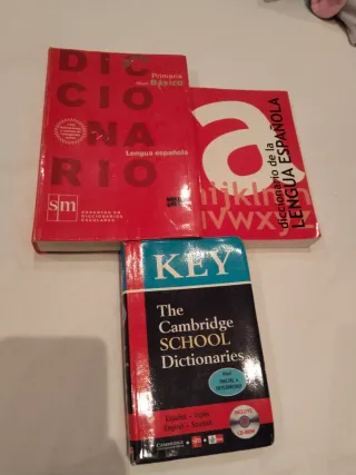 Diccionario Primaria. Nivel Básico (Spanish Edi...