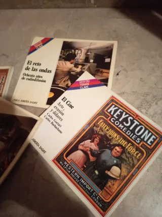 Colección Salvat Temas Clave Libros