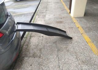 Rampa acceso coche para perros