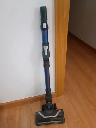 Rowenta X-Force Flex aspirador escoba