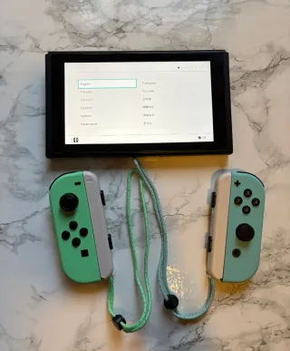 Nintendo Switch Edición Especial Animal Crossing