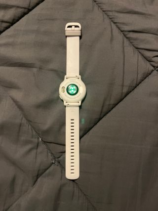 Reloj Garmin Plata y Blanco