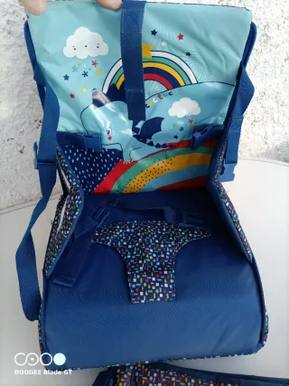 2 Carros Bugaboo Cameleon