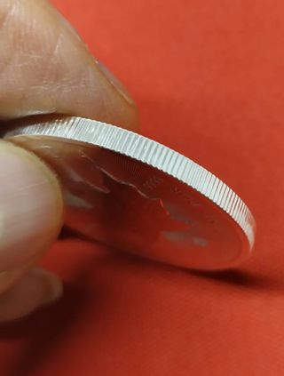 Canada 1oz Argento 5 Dollari 2025 Foglia Acero FDC