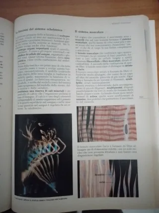 Conoscere le scienze. Per la Scuola media