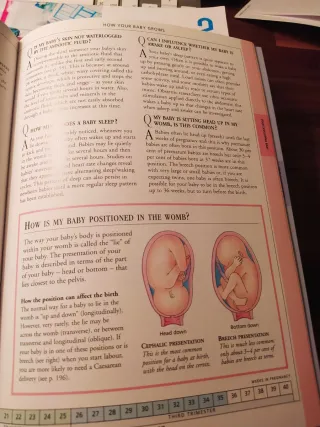 The pregnancy questions and answer book
