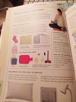 The pregnancy questions and answer book