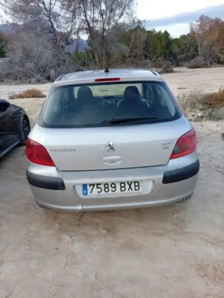 Peugeot 307 2002