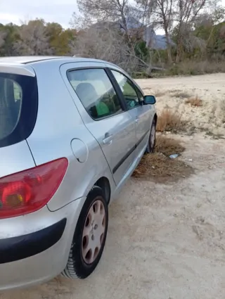 Peugeot 307 2002