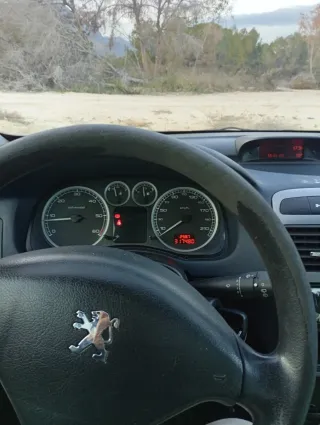 Peugeot 307 2002