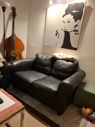 Sofá de piel de 2 plazas