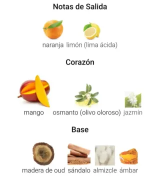 Perfume Lattafa Ajayeb Dubai Portrait 100ml