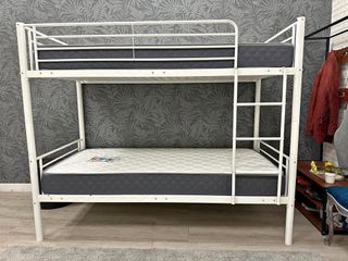 NUEVAS LITERAS EN OFERTA