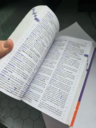 Diccionario Larousse Bolsillo Frances CE/CM