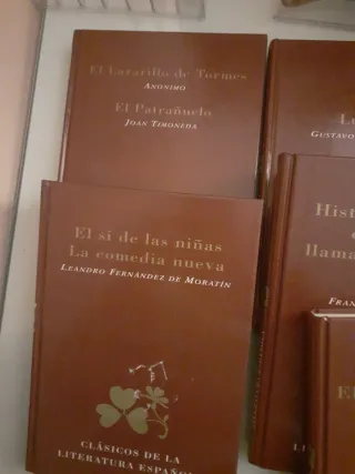 Lote de novelas de colegio