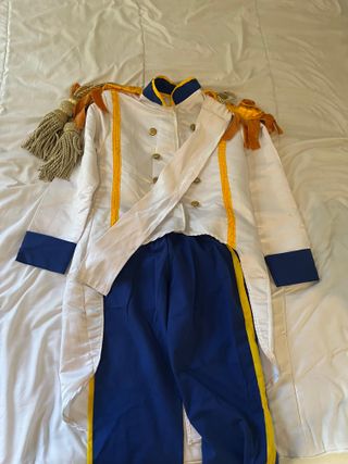 Disfraz Princesa Morado y Rosa