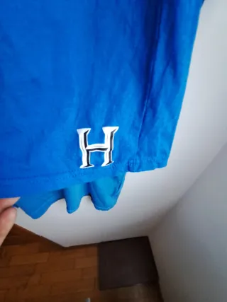 Camiseta chico 16 años Harry Potter azul