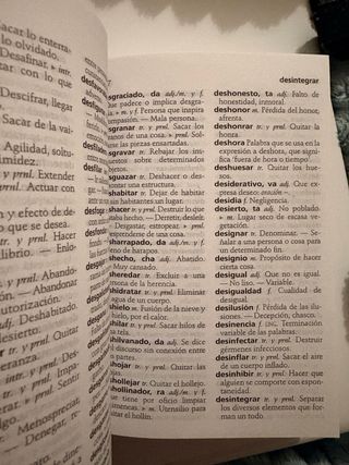 Diccionario español mini