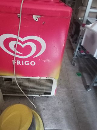 Congelador Frigo 100L