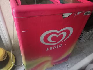 Congelador Frigo 100L