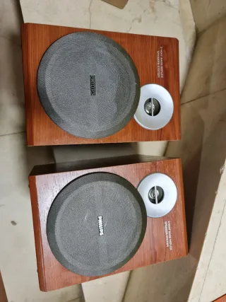 Altavoces Philips Marrones