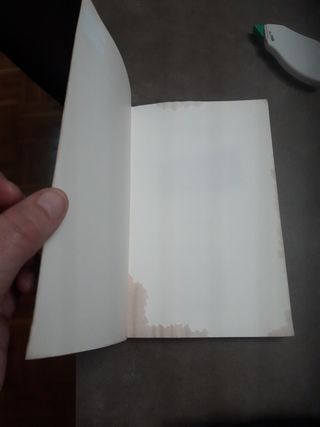 San Ferminetan, Lesakan