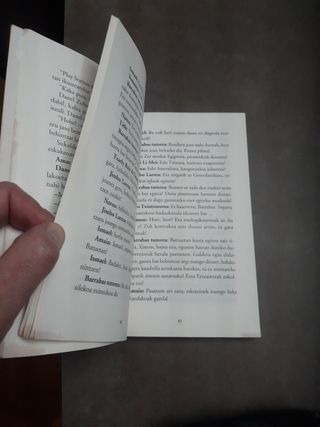 San Ferminetan, Lesakan