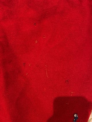 Jersey Polo Ralph Lauren Rojo