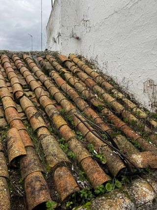 Tejas de barro antiguas