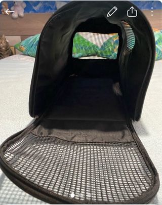 Arenero Gato y transportin