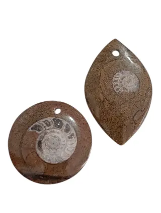 Colgantes Fósiles Amonites