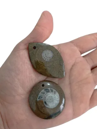 Colgantes Fósiles Amonites