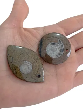 Colgantes Fósiles Amonites