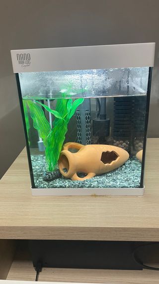 Acuario 20L con filtro y decoración