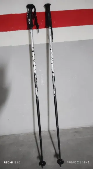 Bastones de esquí