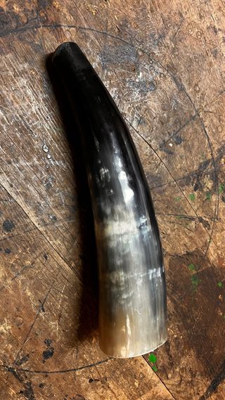 Trompa Ritual natural