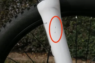 Bicicleta montaña Focus mujer