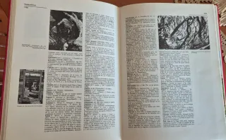 Diccionario Enciclopedico