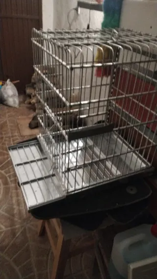 Jaula para ninfas y cotorras 47x36x36